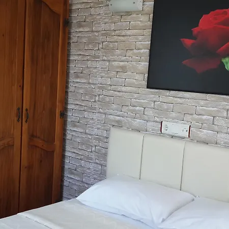 Palmyra Hotel 3*