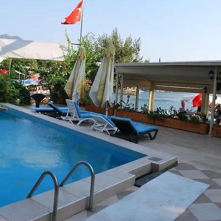 Palmyra Hotel 3*
