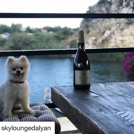 Hotel Palmyra Dalyan